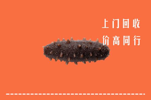 忻府区回收海参